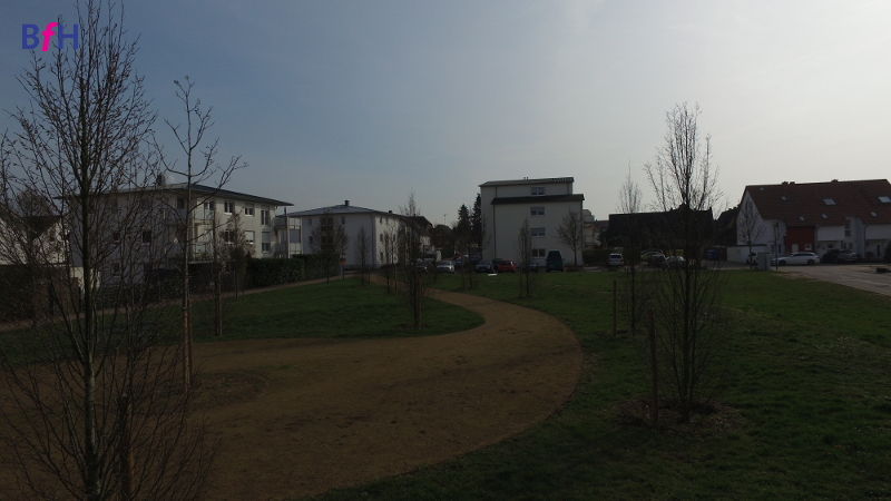 Hainbuchenpark am M&uuml;hlfeld